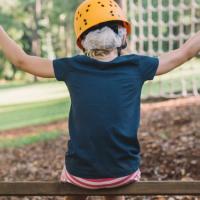 Low Ropes swing banner