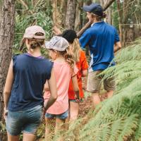 primary students bush walk banner 1