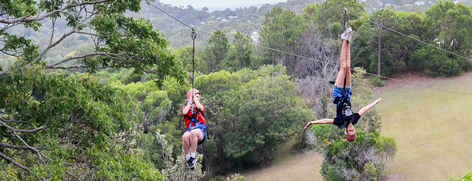 Flying Foxes